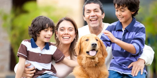 best hound dogs for families